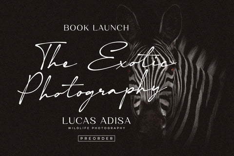 Diverting - Aesthetic Signature Font Javapep 