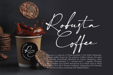 Diverting - Aesthetic Signature Font Javapep 