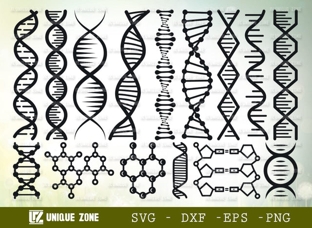DNA SVG Bundle, DNA Molecule Svg, Genetic Svg, Gene Svg, DNA Strand Svg, Medical Svg, DNA Model Svg, DNA Structure Svg SVG Unique Zone 