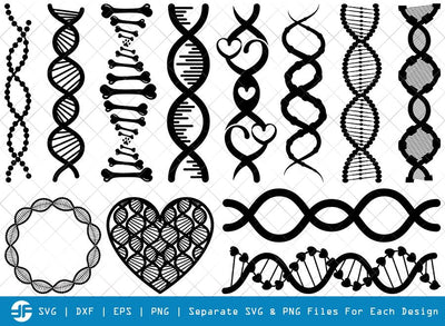 DNA SVG Cut Files | DNA Strand Silhouette Bundle SVG ETC Craft 