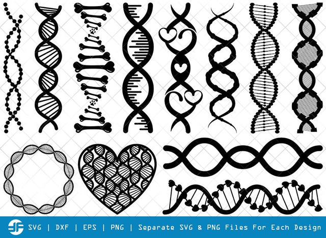 DNA SVG Cut Files | DNA Strand Silhouette Bundle SVG ETC Craft 