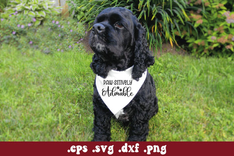 Dog Bandana Bundle SVG Carla C Designs 