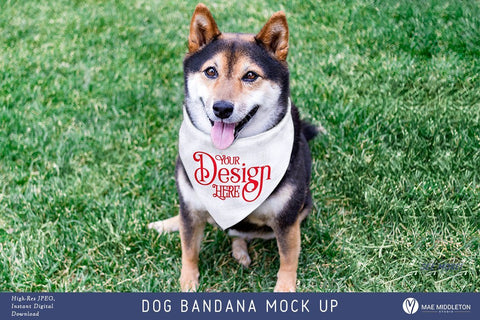 Dog Bandana Mock up, styled photo (Copy) Mock Up Photo Mae Middleton Studio 