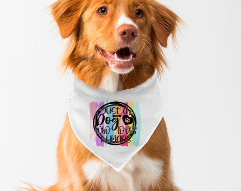 Dog Bandana Sublimation Designs Bundle, 20 Designs, Dog Bandana PNG Files, I Like Big Bones And I Cannot Lie PNG, Live Love Woof PNG Sublimation HappyDesignStudio 