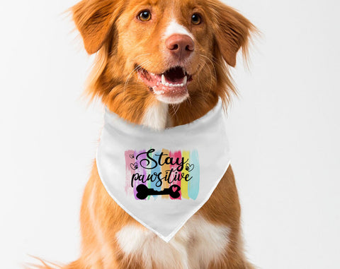 Dog Bandana Sublimation Designs Bundle, 6 Dog Bandana PNG Files, Can't Hold My Licker PNG, Live Love Woof PNG, Squirrel Chaser PNG Sublimation HappyDesignStudio 
