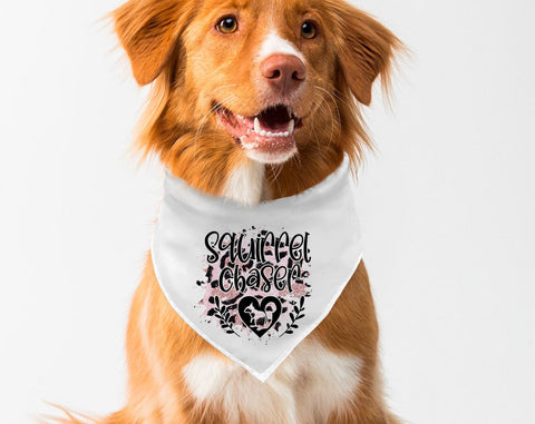 Dog Bandana Sublimation Designs Bundle, 6 Dog Bandana PNG Files, Can't Hold My Licker PNG, Live Love Woof PNG, Squirrel Chaser PNG Sublimation HappyDesignStudio 