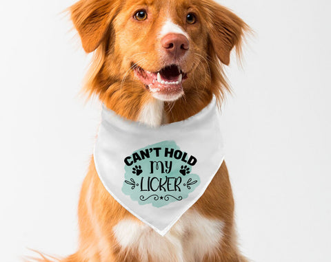 Dog Bandana Sublimation Designs Bundle, 6 Dog Bandana PNG Files, Can't Hold My Licker PNG, Live Love Woof PNG, Squirrel Chaser PNG Sublimation HappyDesignStudio 