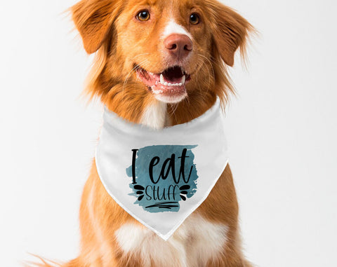 Dog Bandana Sublimation Designs Bundle, 6 Dog Bandana PNG Files, I Eat Stuff PNG, I Still Live With My Parents PNG, Sloppy Kisser PNG Sublimation HappyDesignStudio 