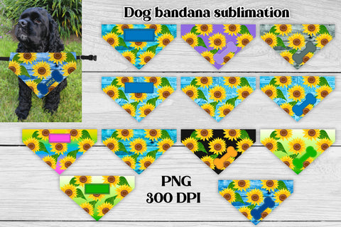 Dog bandana sublimation | Sunflower dog bandana bundle Sublimation Svetana Studio 