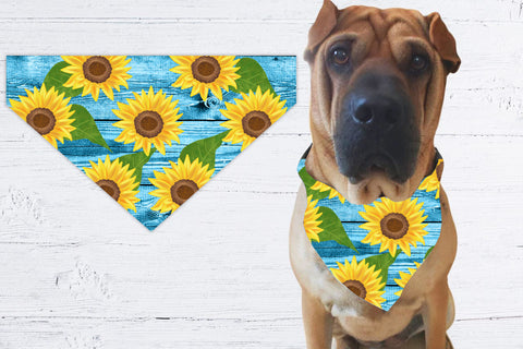 Dog bandana sublimation | Sunflower dog bandana bundle Sublimation Svetana Studio 