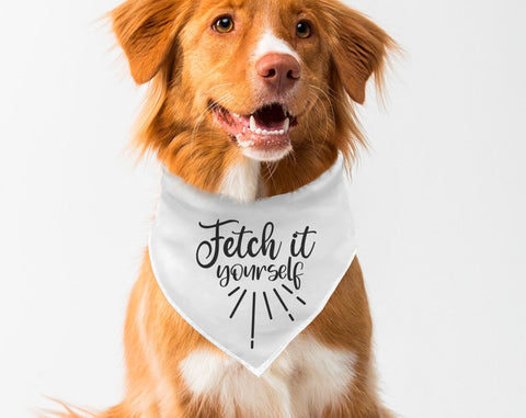 Dog Bandana SVG Bundle, 25 Designs, Funny Dog Bandana SVG Cut Files, Dog Quotes SVG, Live Love Woof SVG SVG HappyDesignStudio 