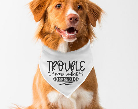 Dog Bandana SVG Bundle, 6 Designs, Dog Bandana Cut Files For Cricut or Silhouette, Pet Me SVG, Trouble Never Looked So Sweet SVG SVG HappyDesignStudio 