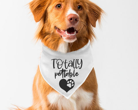 Dog Bandana SVG Bundle, 6 Designs, Dog Bandana Cut Files for Cricut, Silhouette, Life Is Better With A Dog SVG, Totally Pettable SVG, Fetch It Yourself SVG SVG HappyDesignStudio 