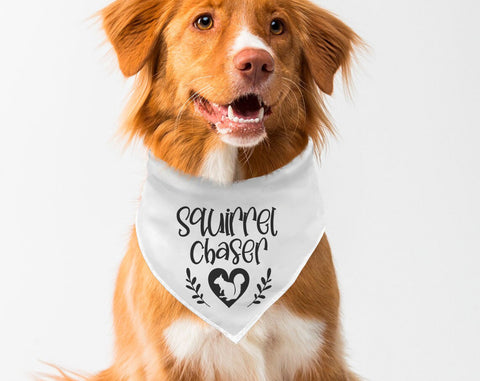 Dog Bandana SVG Bundle, 6 Designs, Funny Dog Quotes SVG, Squirrel Chaser SVG, I Am A Lover Not A Biter SVG, Can't Hold My Licker SVG SVG HappyDesignStudio 