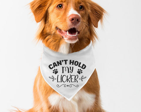 Dog Bandana SVG Bundle, 6 Designs, Funny Dog Quotes SVG, Squirrel Chaser SVG, I Am A Lover Not A Biter SVG, Can't Hold My Licker SVG SVG HappyDesignStudio 