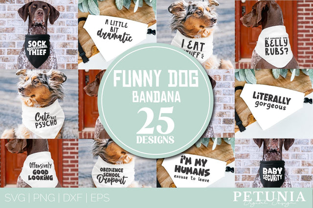 Dog Bandana SVG Bundle | Funny Dog SVG Bundle SVG Petunia Digital Design 