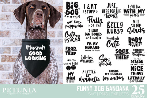 Dog Bandana SVG Bundle | Funny Dog SVG Bundle SVG Petunia Digital Design 