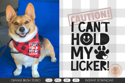 Cute Reason Dog Bandana Quote SVG Pet Design Cricut For DIY By Orange Brush  Studio