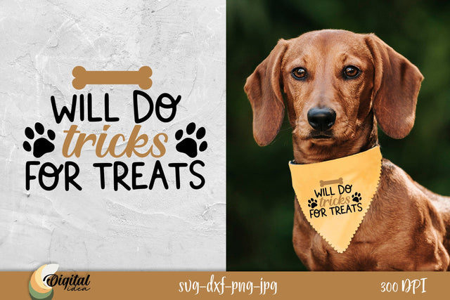 Dog Bandanas SVG. Dog ornament SVG. Funny design SVG. SVG Evgenyia Guschina 