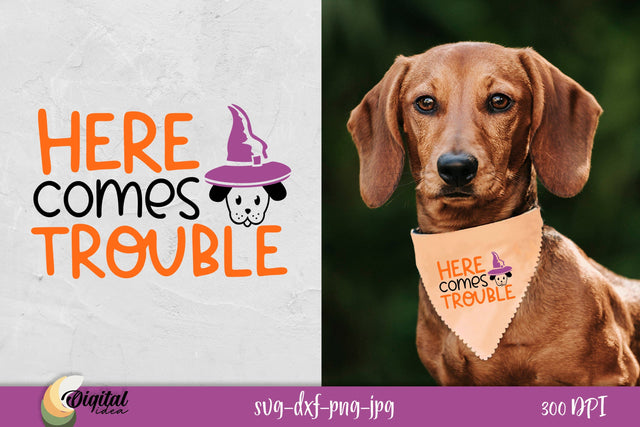 Dog Bandanas SVG. Dog Ornaments SVG. Here Comes Trouble SVG. SVG Evgenyia Guschina 