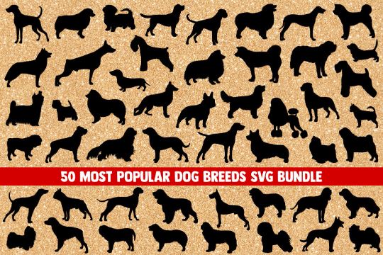 Dog breed SVG Bundle, dogs svg silhouette, lab svg, chihuahua svg, corgi svg, dog svg, paw svg, dog breeds svg, svg designs, cricut, png SVG James 