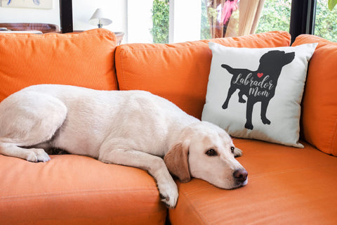 Dog Breeds Silhouettes SVG Bundle Dog Mom 31 Designs SVG OrangeBrushStudio 