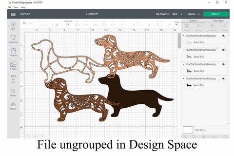 Dog Mandala SVG Bundle Volume 4 Shih Tzu, German Shepherd, Border Collie, Pomeranian, Dachshund SVG Digital Honeybee 