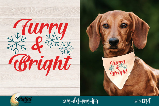 Dog Ornaments SVG. Funny Dog Quote SVG. Dog Bandanas SVG. SVG Evgenyia Guschina 