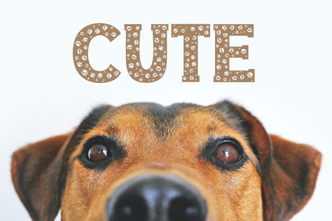 Dog Paw - Pet Font Font ampersand 