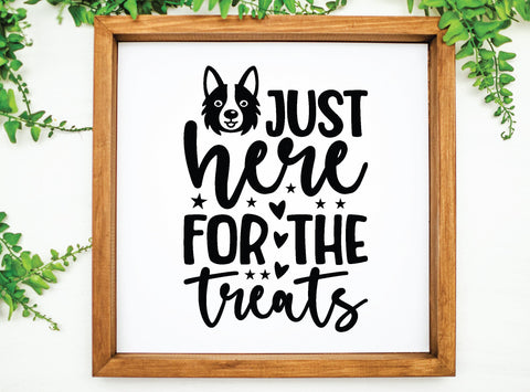 dog svg bundle SVG buydesign 