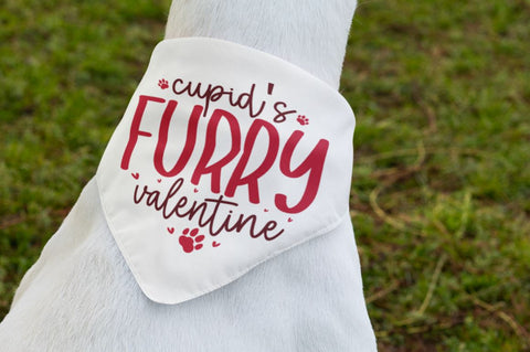 Dog Valentine SVG Bundle SVG Regulrcrative 