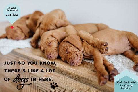 Dog Welcome Mat, Doormat SVG Cut File SVG Lettershapes 