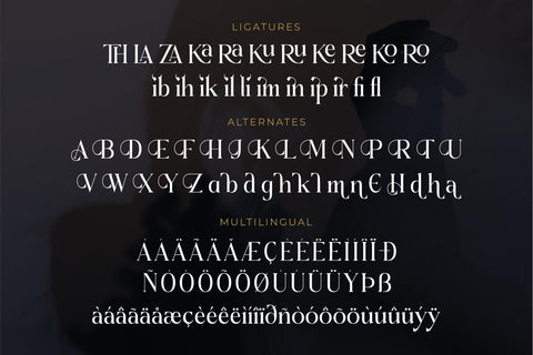 Doknatle Typeface Font Storytype Studio 