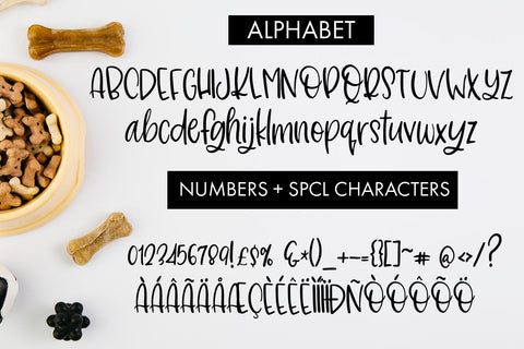Dolores The Schnauzer Font Freeling Design House 