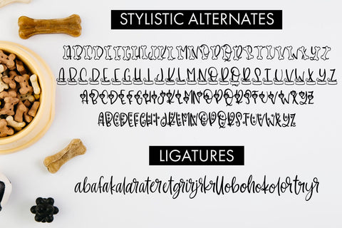 Dolores The Schnauzer Font Freeling Design House 