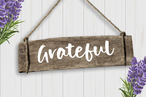 Dolphin Dolls Handbrushed Script Font Font Balpirick 