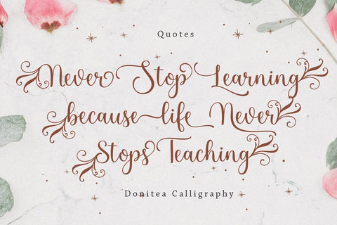 Donitea Scipt Font Sulthan studio 