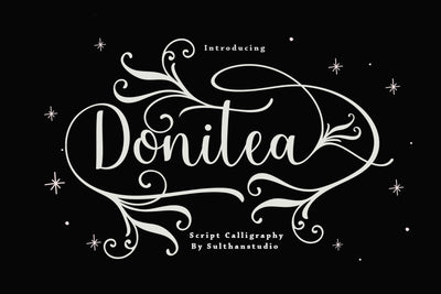 Donitea Scipt Font Sulthan studio 