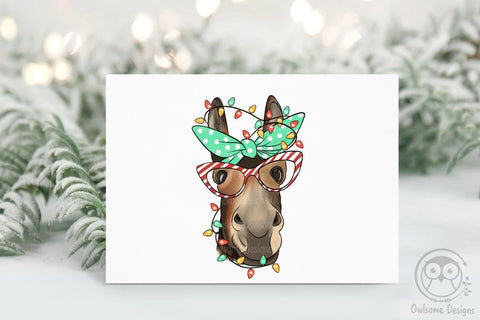Donkey Christmas Sublimation Sublimation LAM HOANG THUY 