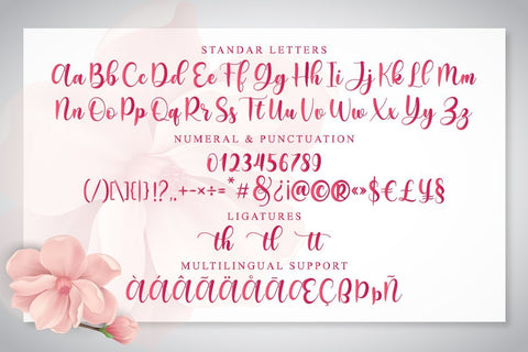 Dorothy Script Font studioalmeera 