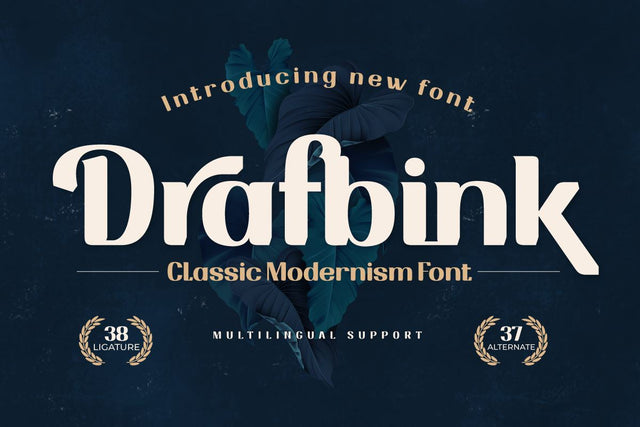Drafbink | Serif Classic Modernism Font twinletter 