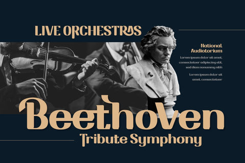 Drafbink | Serif Classic Modernism Font twinletter 