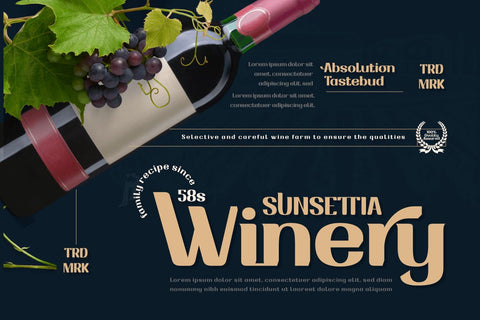 Drafbink | Serif Classic Modernism Font twinletter 