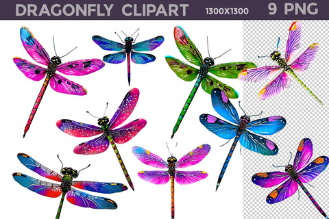 Dragonfly Clipart PNG | Dragonfly Illustration Sublimation WatercolorColorDream 