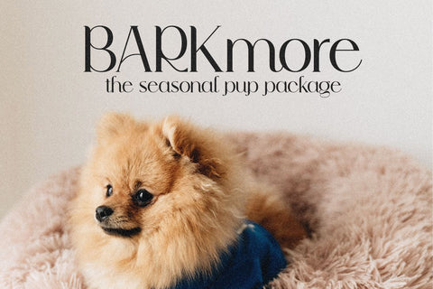 Dream Coast - Modern Serif Font Font KA Designs 