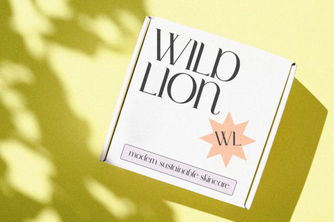 Dream Coast - Modern Serif Font Font KA Designs 