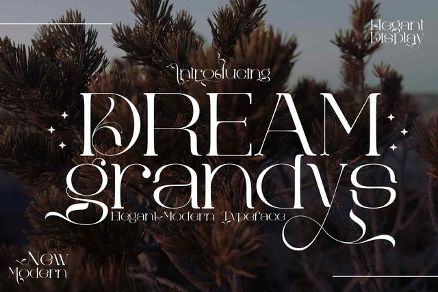 Dream grandys Font JH-CreativeFont 