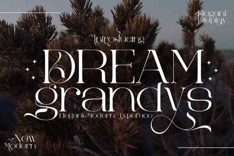 Dream grandys Font JH-CreativeFont 
