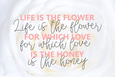 Dream Miracless Font Zeenesia Std 