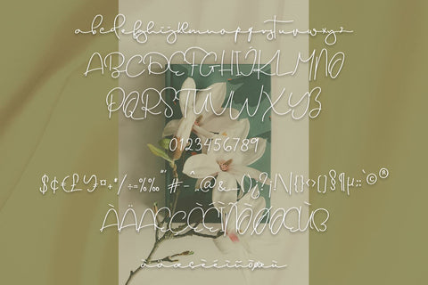 Dream Only Font Erik Studio 